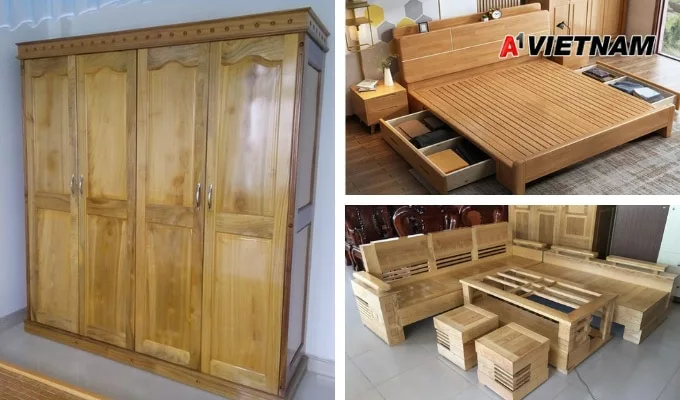 Gỗ dổi là gì? Phân Loại và Báo Giá Mới Nhất 7 go doi 6 jpg