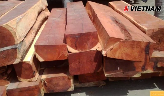 Gỗ gõ đỏ là gì? Phân Loại và Báo Giá Mới Nhất 3 go go do 2 jpg