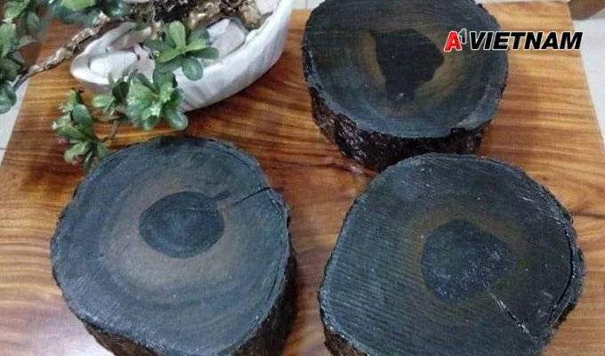 Gỗ mun là gì? Phân Loại và Báo Giá Mới Nhất 2 go mun 1 jpg