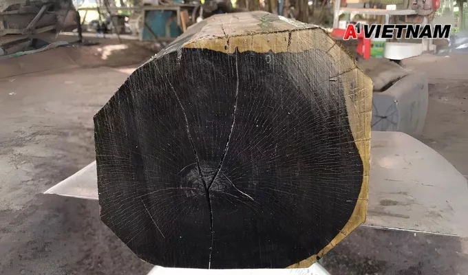 Gỗ mun là gì? Phân Loại và Báo Giá Mới Nhất 5 go mun 4 jpg