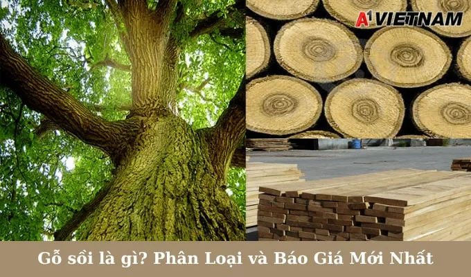 Gỗ sồi là gì? Phân Loại và Báo Giá Mới Nhất 1 go soi jpg