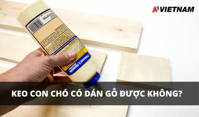 keo con cho co dan go duoc khong jpg