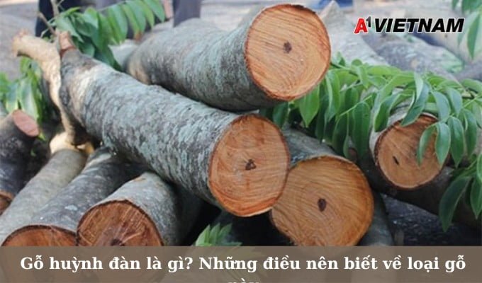 Gỗ huỳnh đàn là gì? Những điều nên biết về loại gỗ này 1 go huynh dan