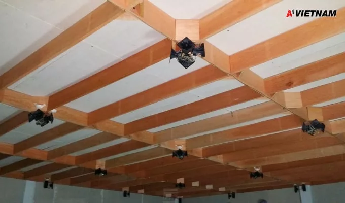 Gỗ meranti là gì? Phân Loại và Báo Giá Mới Nhất 5 go meranti 5 jpg