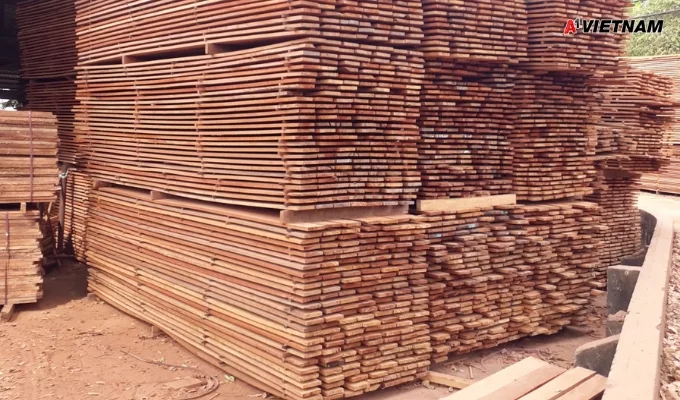 Gỗ meranti là gì? Phân Loại và Báo Giá Mới Nhất 3 go meranti jpg