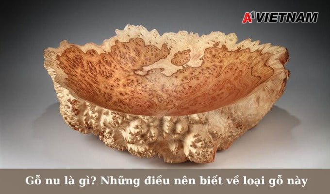 Gỗ nu là gì? Những điều nên biết về loại gỗ này 1 go nu