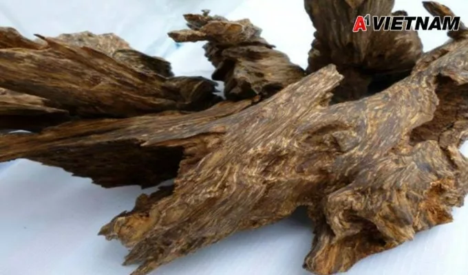 Gỗ trầm hương là gì? Những điều nên biết về loại gỗ này 3 go tram huong 2 jpg