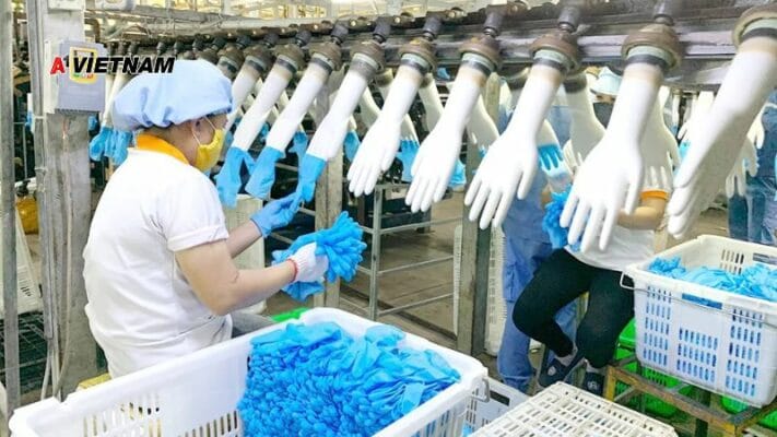 cong ty gang tay nitrile 1