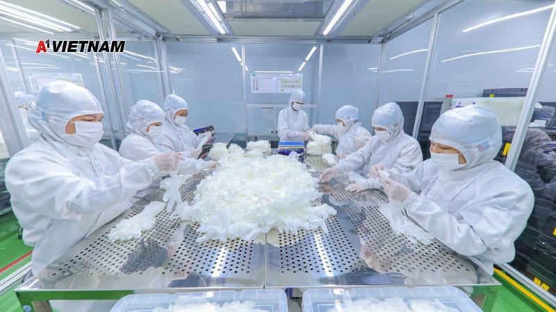 Công Ty Găng Tay Latex Đồng Nai của A1 Việt Nam: Sản Phẩm Bảo Vệ Sức Khỏe, Uy Tín Và Chất Lượng 3 cong ty gang tay nitrile 11