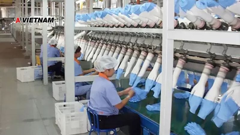 Găng Tay Nitrile Hải Phòng Của A1 Việt Nam: Giá Tốt, Giao Hàng Toàn Quốc 1 cong ty gang tay nitrile 8