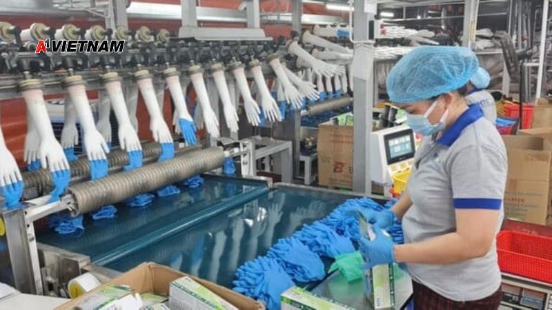 cong ty gang tay nitrile