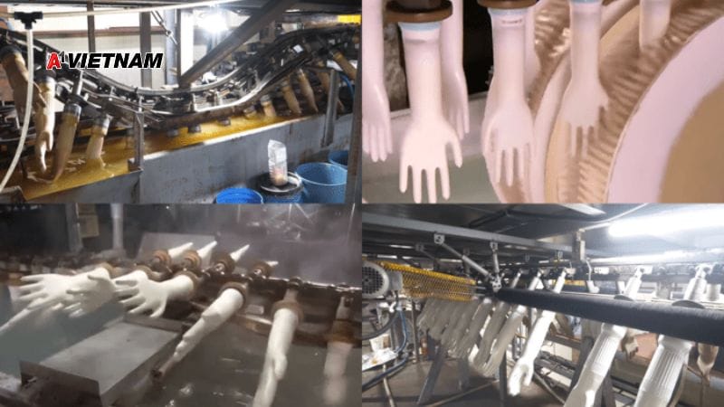 Công Ty Găng tay latex An Giang – A1 Việt Nam: Sự lựa chọn hoàn hảo cho sức khỏe và an toàn 3 gang tay latex 5