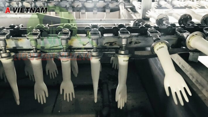 gang tay nitrile ba ria vung tau 4