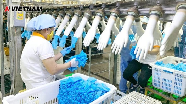 gang tay nitrile hue 3