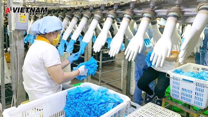 gang tay nitrile hue 3