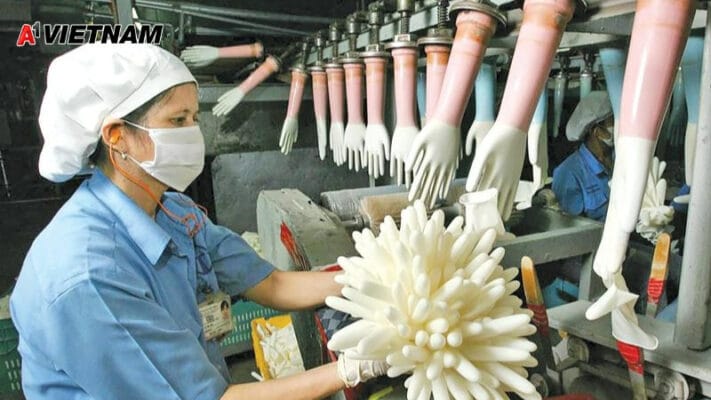 gang tay nitrile hue 4