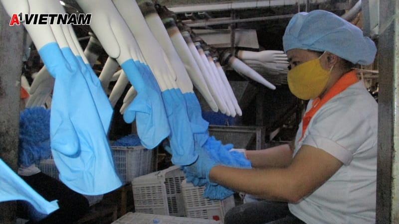 gang tay nitrile hue 5