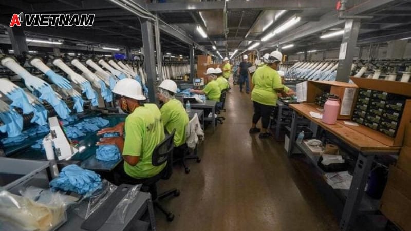 Công ty cung cấp găng tay nitrile Thành phố Hồ Chí Minh chất lượng cao 5 gang tay nitrile thanh pho ho chi minh 4