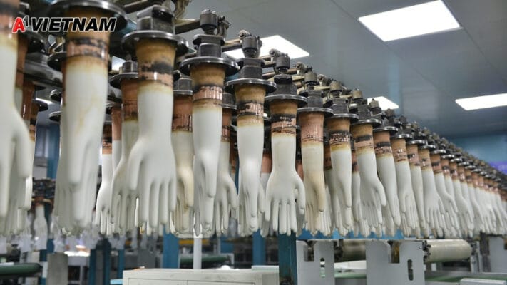 gang tay nitrile thanh pho ho chi minh 5