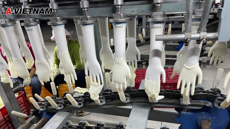 gang tay nitrile tien giang 5