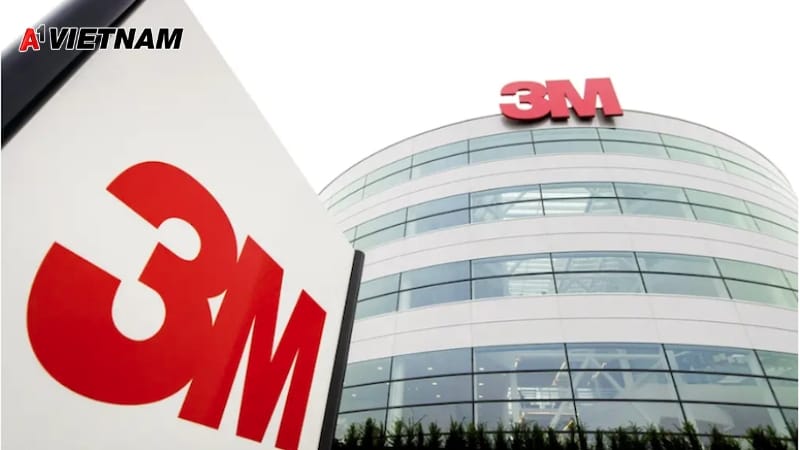 3m ba ria vung tau 2