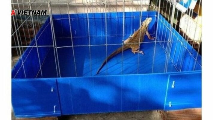 Thung danpla lam chuong nuoi thu cung nho 3