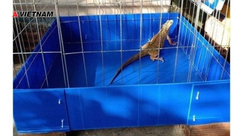 Thung danpla lam chuong nuoi thu cung nho 3