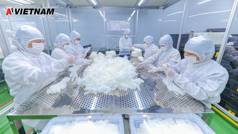 cong ty mu phong sach a1 viet nam 15