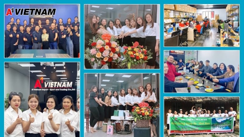 Thảm Phòng Sạch Bắc Ninh - Giải Pháp Kiểm Soát Bụi Hiệu Quả Từ A1 Việt Nam 6 cong ty tham phong sach a1 viet nam 18