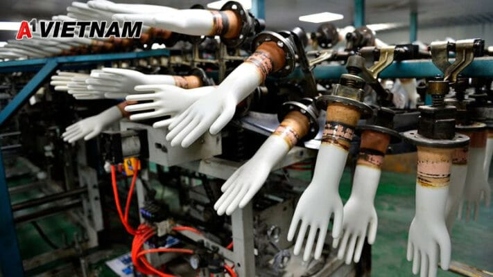 gang tay latex hai duong 1