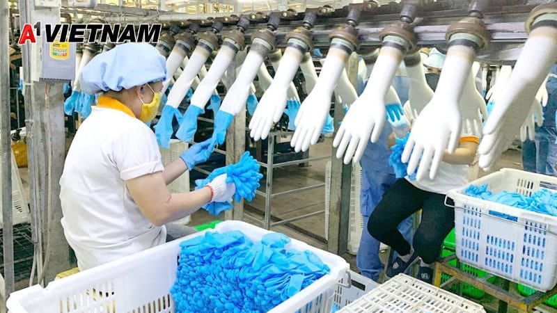 Găng Tay Latex Hưng Yên A1 Việt Nam – Giải Pháp Bảo Hộ An Toàn, Giá Tốt 1 gang tay latex hung yen 4