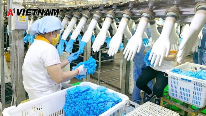 gang tay latex ninh binh 3