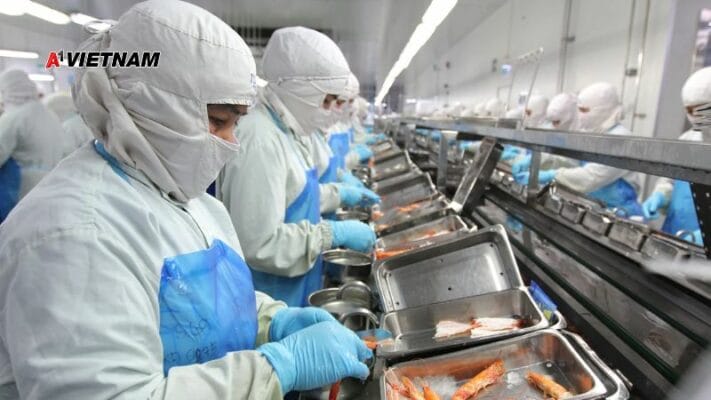 mu phong sach a1 viet nam 19