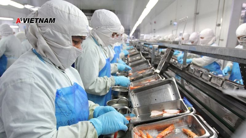 mu phong sach a1 viet nam 19