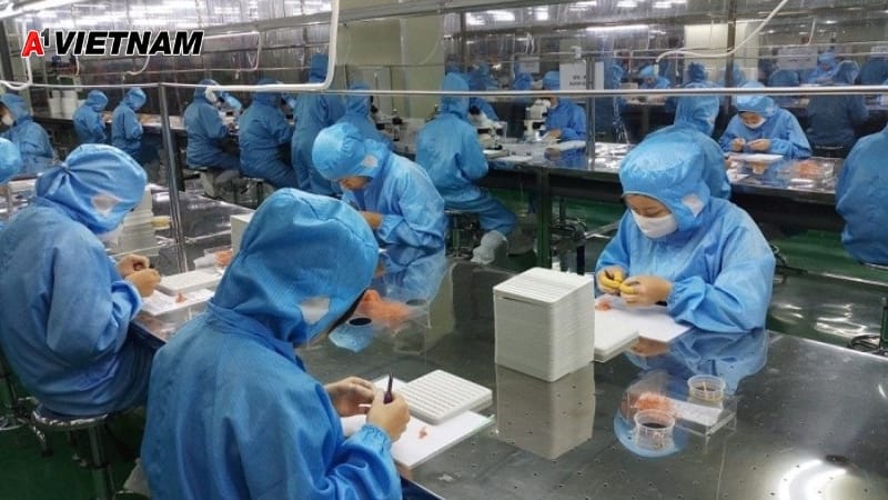 Quần Áo Phòng Sạch A1 Việt Nam - Giải Pháp Chuyên Nghiệp Cho Doanh Nghiệp Tại Ninh Bình 6 quan ao phong sach hai duong 4