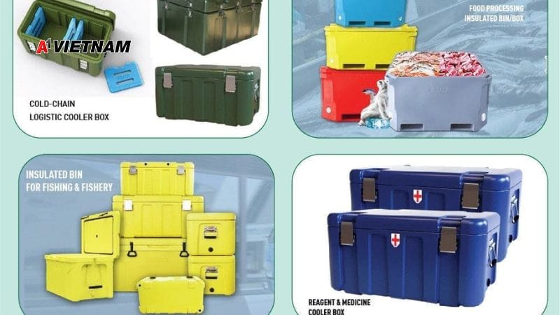 thung danpla trong chuoi cung ung lanh