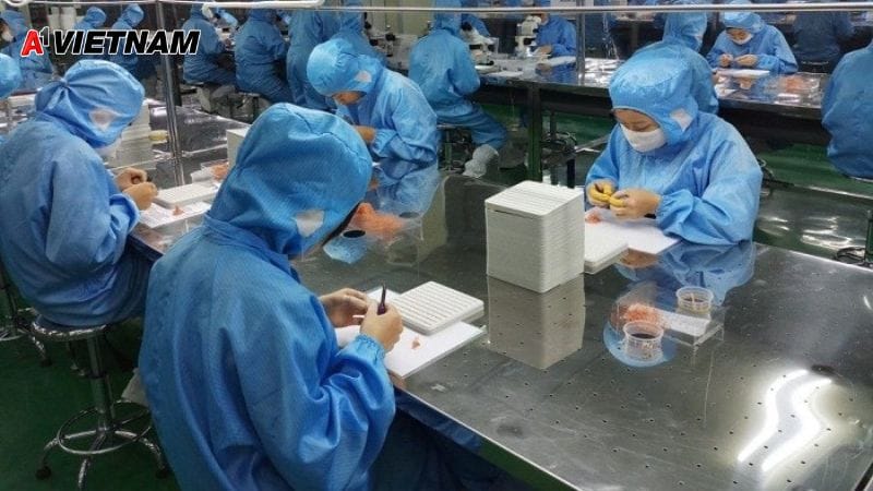 cong ty ghe phong sach a1 viet nam 9