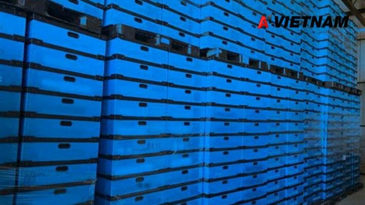 nguyen lieu san xuat thung danpla 2