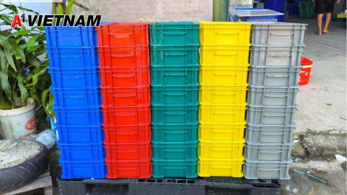 thi truong thung danpla tai viet nam 7