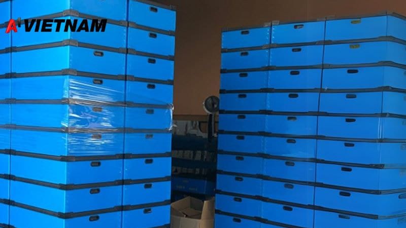 tinh chat vat ly cua thung danpla 2