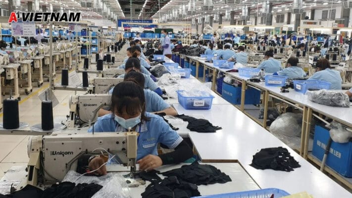 ung dung thung danpla trong nganh may mac 2