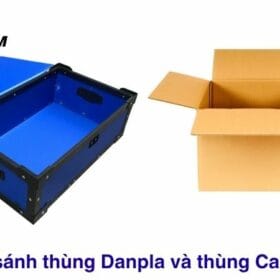 so sanh thung danpla va thung carton